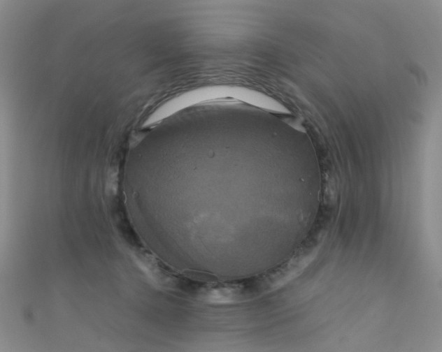 X0000110990368200907022121