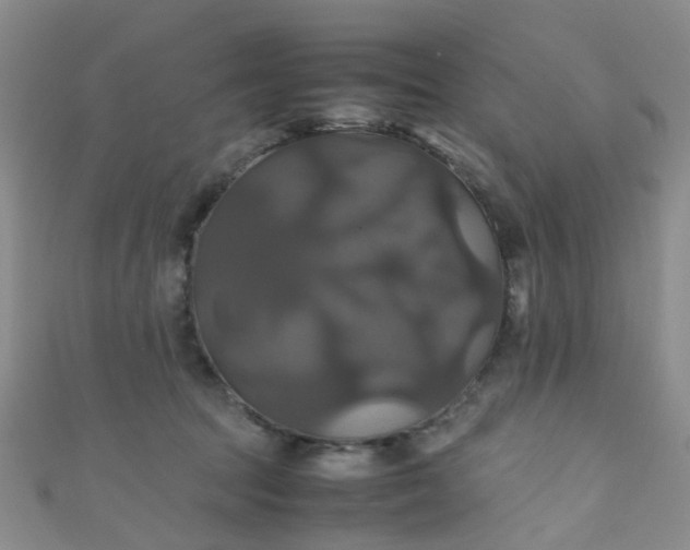 X0000110990369200907022121