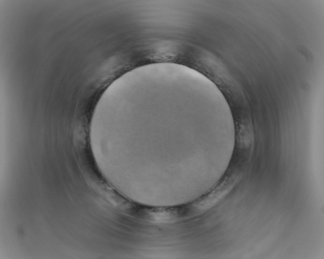 X0000110990370200907022121