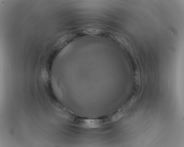 X0000110990371200907022121