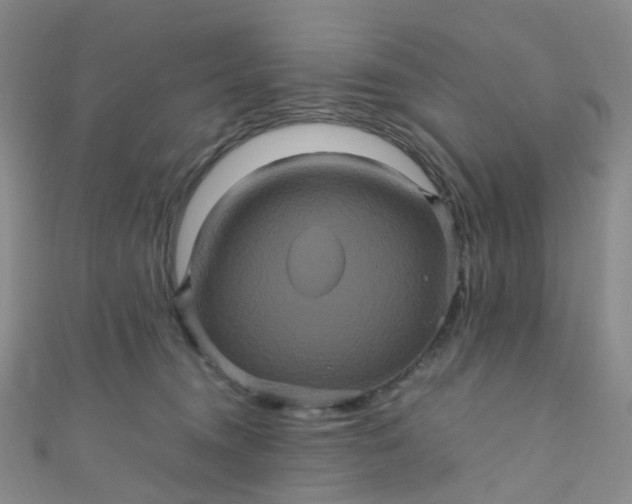 X0000110990372200907022121