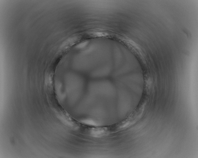 X0000110990373200907022121