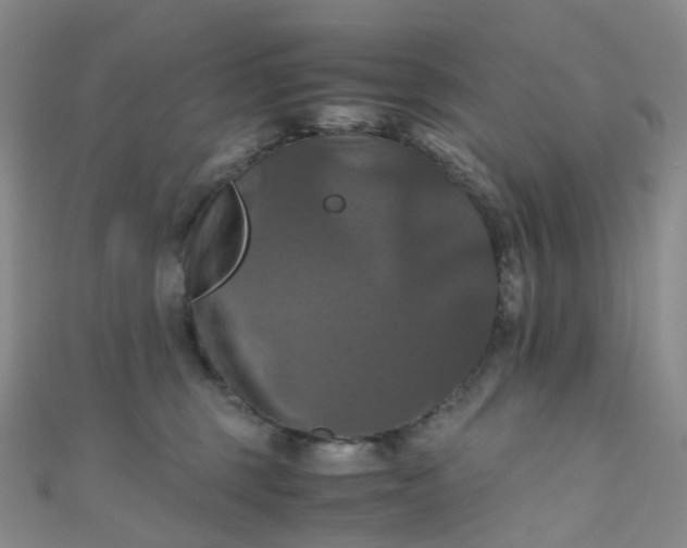 X0000110990375200907022121