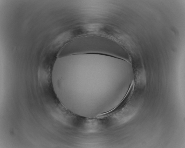 X0000110990376200907022121