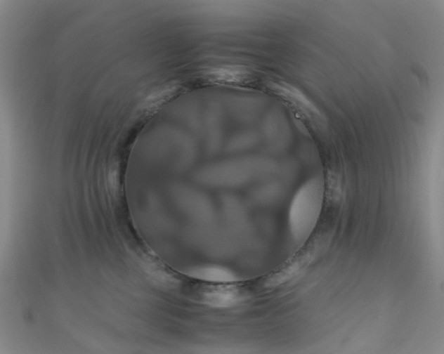 X0000110990377200907022121