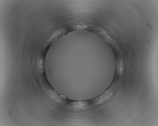 X0000110990378200907022121