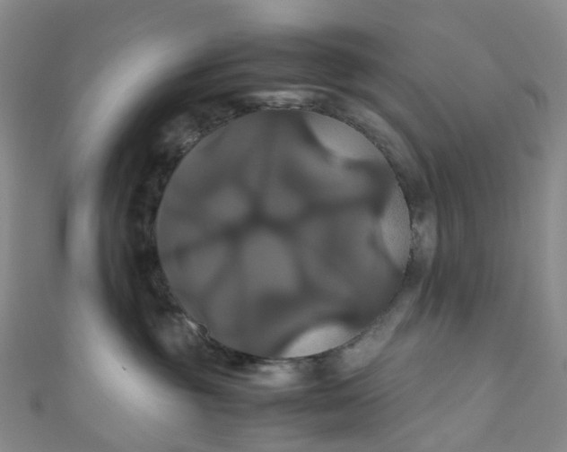 X0000110990381200907022121
