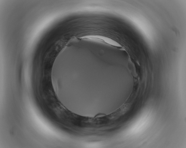 X0000110990383200907022121