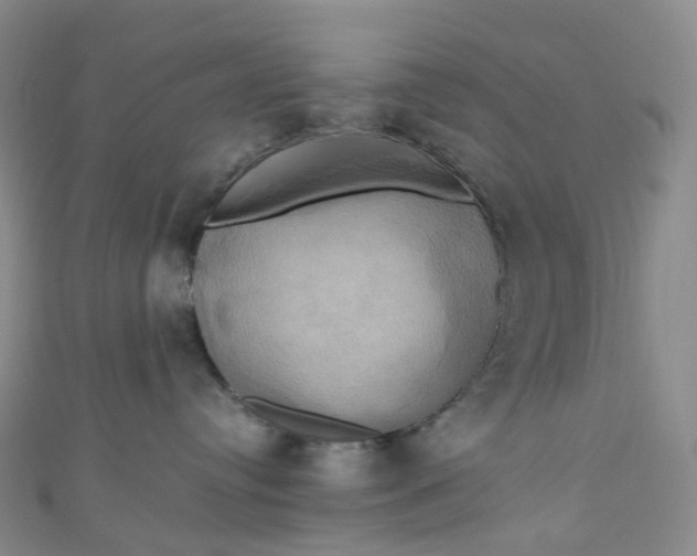 X0000110990384200907022121