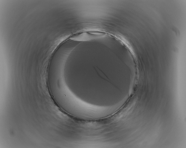 X0000110990385200907022121