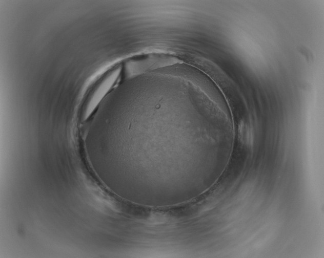 X0000110990388200907022121