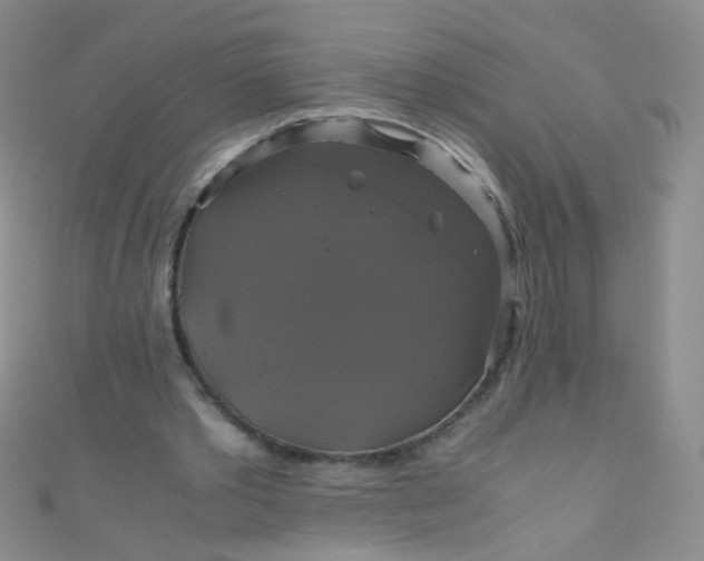 X0000110990389200907022121