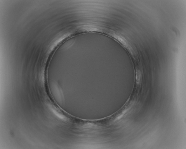 X0000110990390200907022121