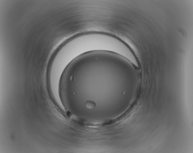 X0000110990391200907022121