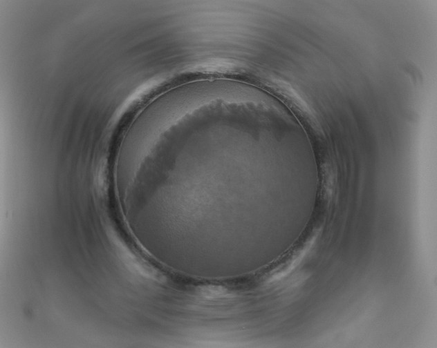 X0000110990392200907022121
