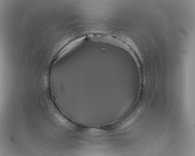 X0000110990393200907022120