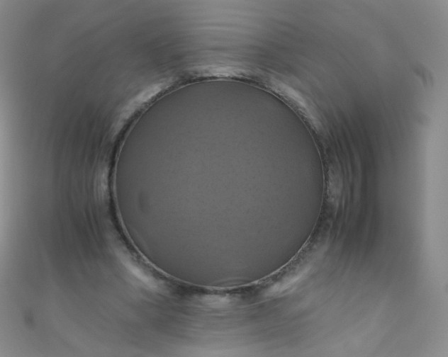 X0000110990394200907022120