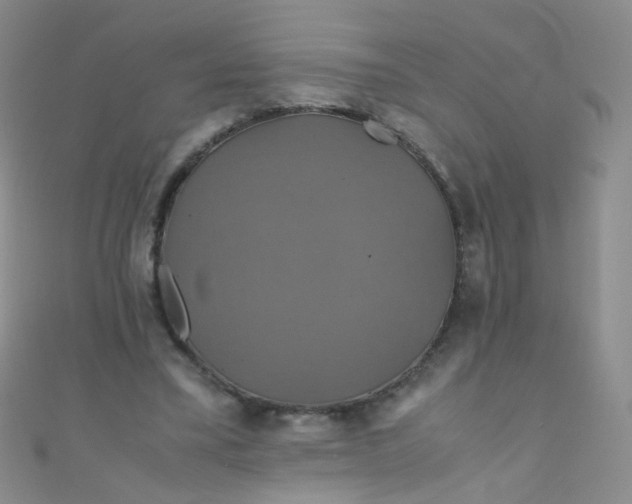 X0000110990395200907022120