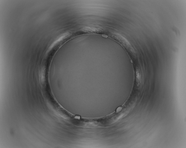 X0000110990396200907022120