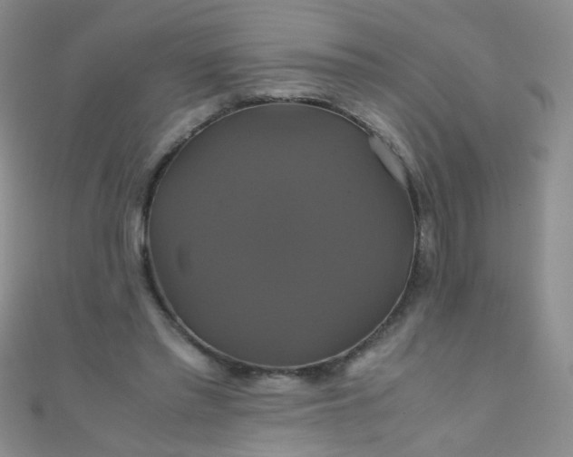 X0000110990397200907022120