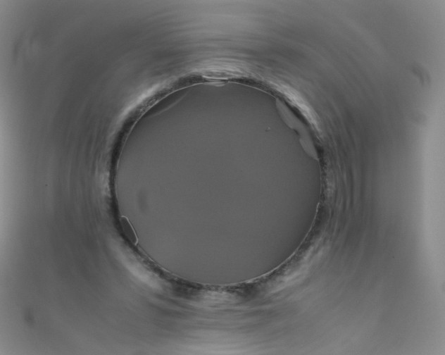 X0000110990399200907022120