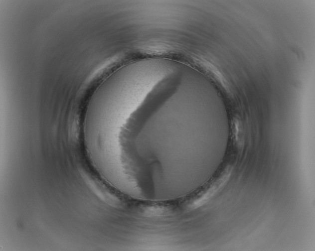 X0000110990400200907022120