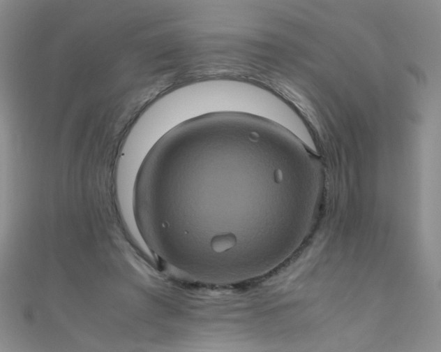 X0000110990401200907022120