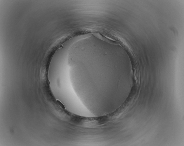 X0000110990403200907022120