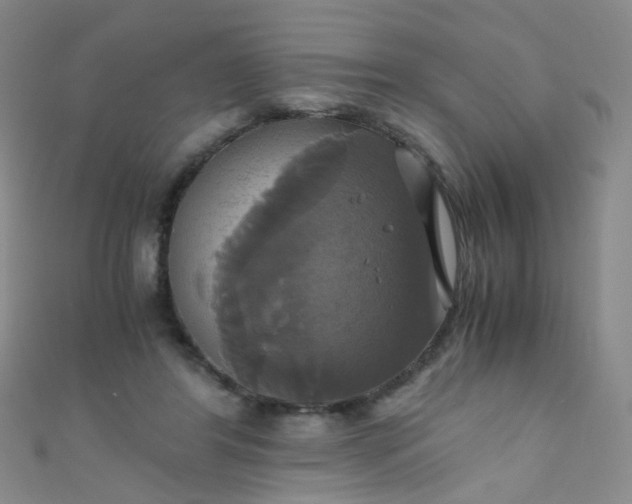 X0000110990404200907022120