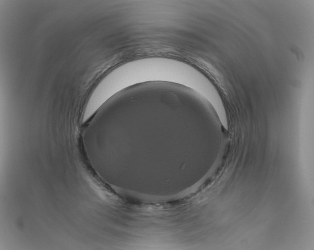X0000110990405200907022120