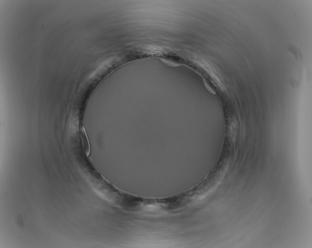 X0000110990407200907022120