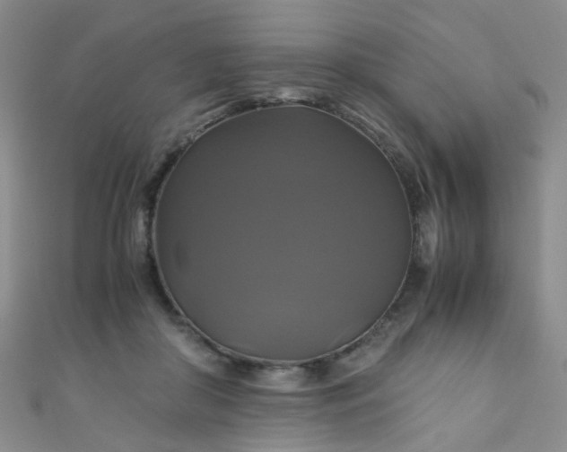 X0000110990410200907022120