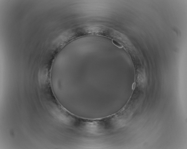 X0000110990411200907022120