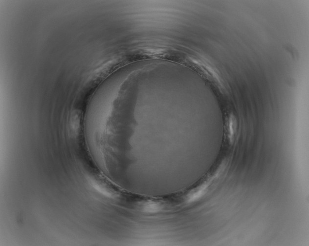 X0000110990412200907022120