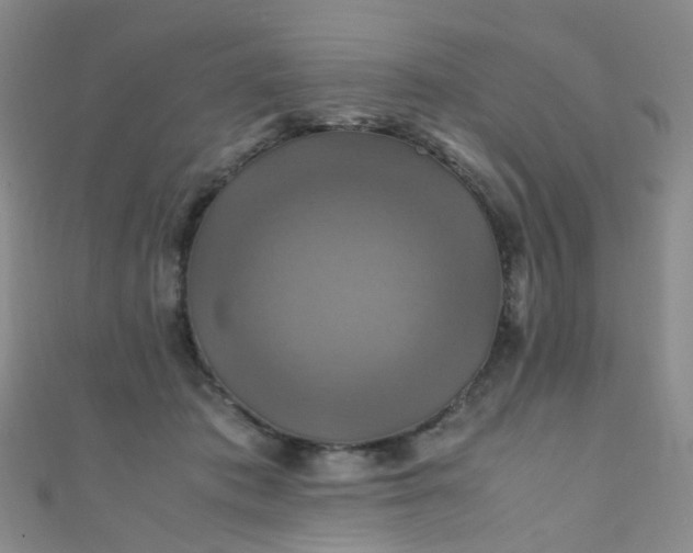 X0000110990413200907022120