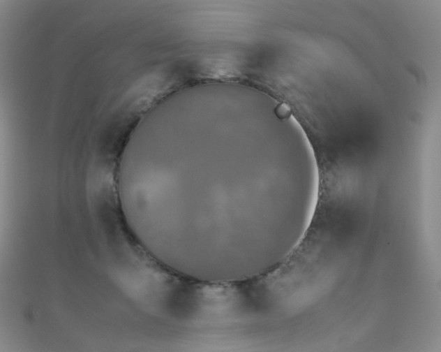 X0000110990415200907022120
