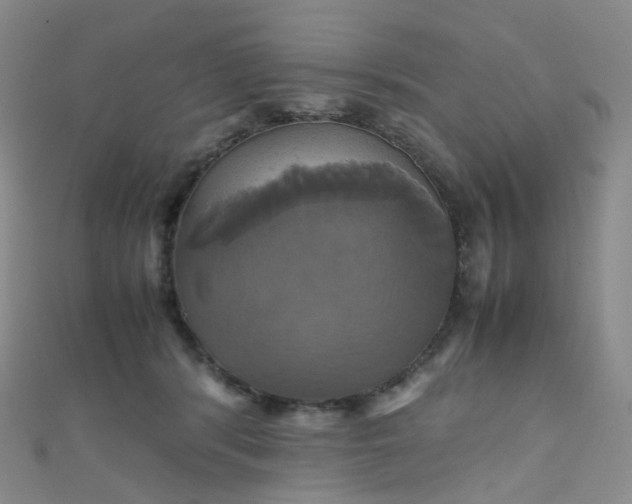 X0000110990416200907022120
