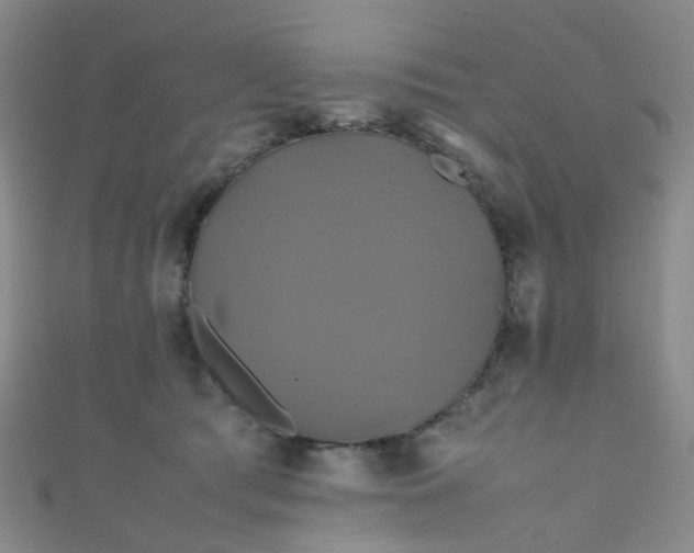 X0000110990417200907022120
