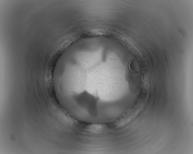X0000110990418200907022120