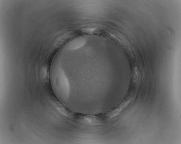 X0000110990420200907022120