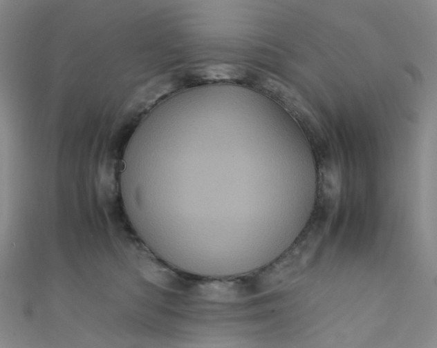 X0000110990422200907022120