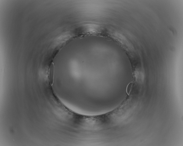 X0000110990423200907022120