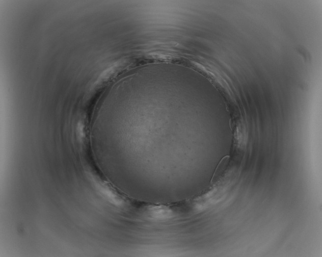 X0000110990424200907022120