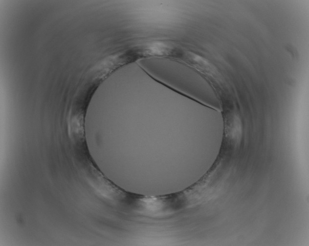 X0000110990425200907022120