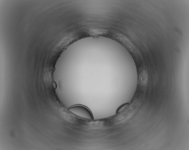 X0000110990426200907022120