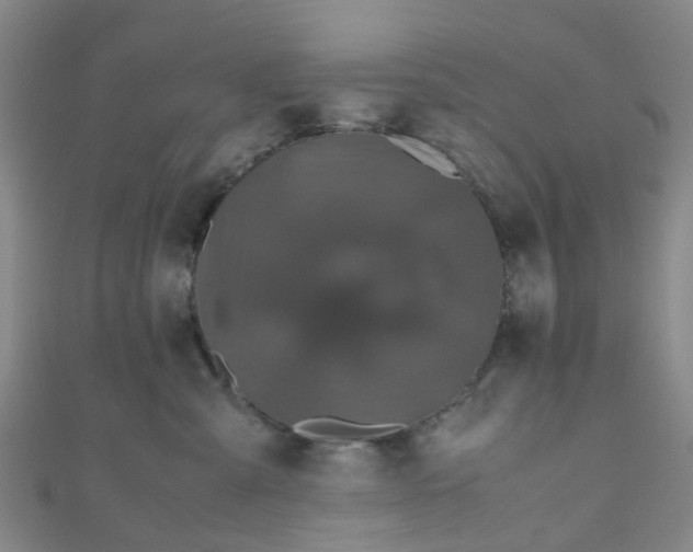 X0000110990427200907022120