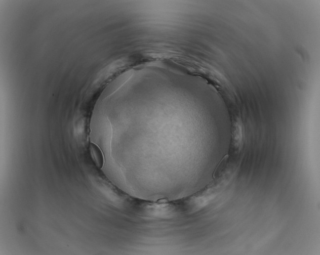 X0000110990428200907022120
