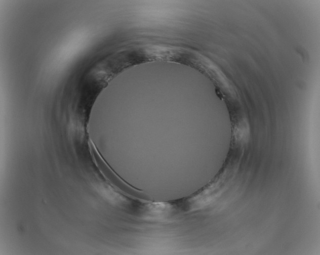 X0000110990429200907022120