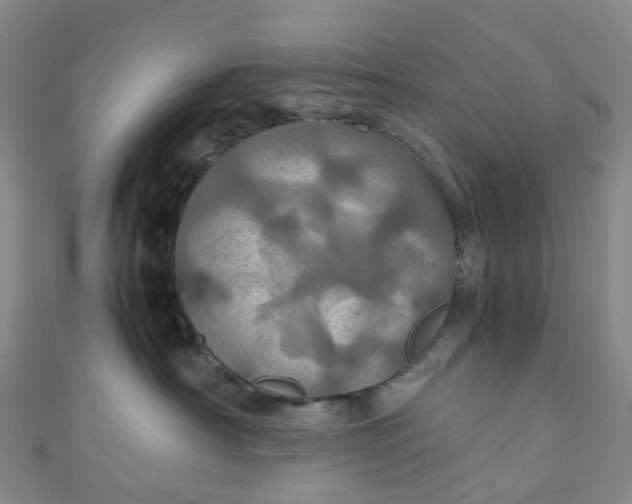X0000110990430200907022120