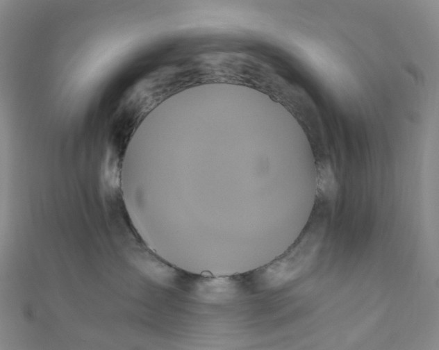 X0000110990431200907022120